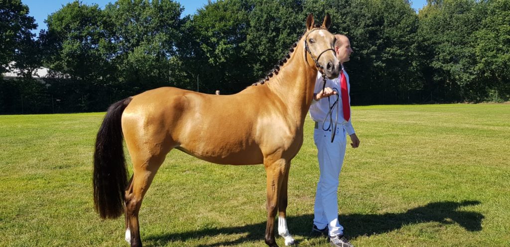 Anjershof Pretty Woman (Tess)