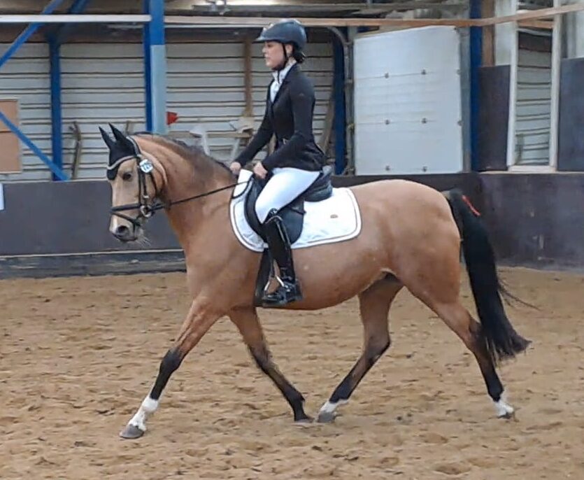 822c11fb-a8b5-40db-bf89-939a96860fb3